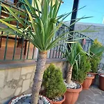 House Near Cr7 Museum * Funchal