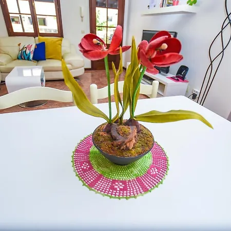 House Near Cr7 Museum Funchal (Madeira)