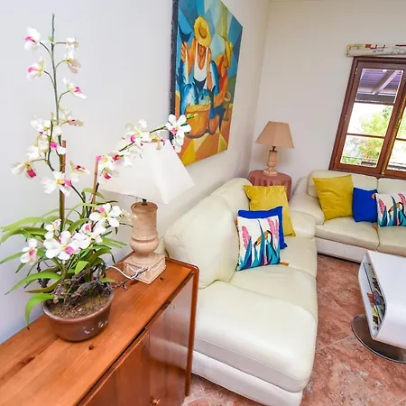 Vakantiehuis A House Near Cr7 Museum Madeira Funchal (Madeira)