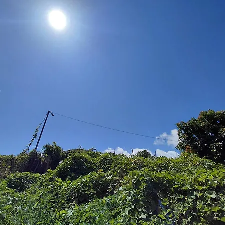Σπίτι διακοπών A House Near Cr7 Museum Madeira