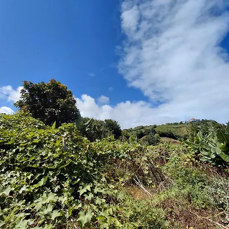 A House Near Cr7 Museum Madeira * Φουνκάλ