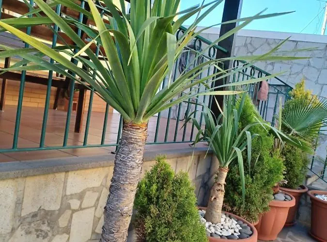 House Near Cr7 Museum * פונשל