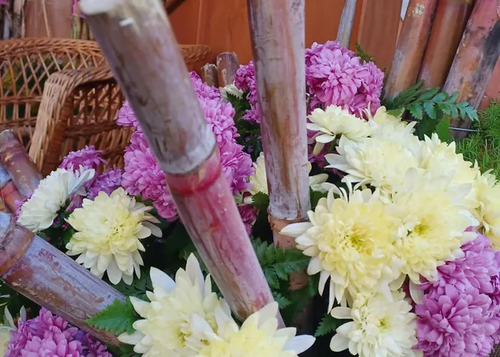 House Near Cr7 Museum *